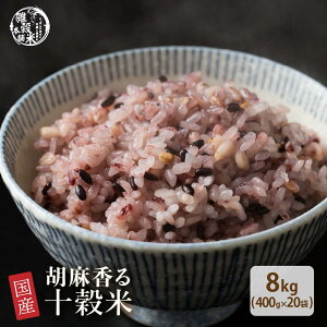 G G Y Ӗ\ 8kg(400g×20) Y F ƖpTCY  _CGbgHi u_CGbg