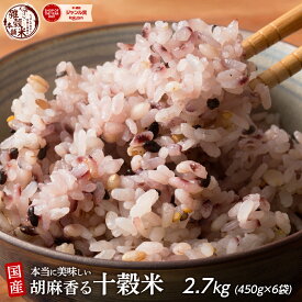 雑穀 雑穀米 国産 胡麻香る十穀米 2.7kg(450g×6袋) 無添加 無着色 ファミリーサイズ 送料無料 ダイエット食品 置き換えダイエット