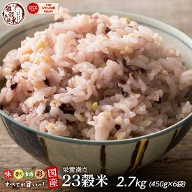 雑穀 雑穀米 国産 栄養満点23穀米 2.7kg(450g×6袋) 無添加 無着色 ファミリーサイズ 送料無料 ダイエット食品 置き換えダイエット