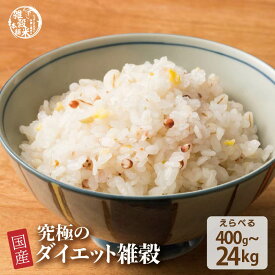 雑穀 雑穀米 糖質制限 究極のダイエット雑穀 【内容量が選べる400g~24kg】雑穀米本舗 定番サイズ 送料無料 ダイエット食品 置き換えダイエット