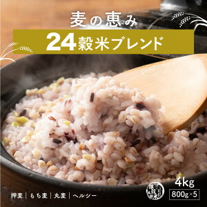 G G Y ̌b24ăuh yIׂ800g~4kgzGĖ{ nH@ Y F  TCY pTCY u_CGbg(/唞//͂Ƃނ)