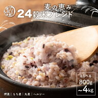 ＼楽天スーパーSALE／雑穀 雑穀米 国産 麦の恵み24穀米ブレンド【選べる800g~4kg】雑穀米本舗 [丸麦/押麦…