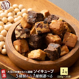 【1種類 選べる】ソイキューブ 1kg(100g×10袋) | (チョコくるみ/アーモンド・オレンジピール/ホワイトチョコ・マカダミア/3種のベリー) SOYCUBE お菓子 おからパウダー 大豆粉 グルテンフリー 小麦不使用 低GI 低糖質 糖質制限 小腹サポート