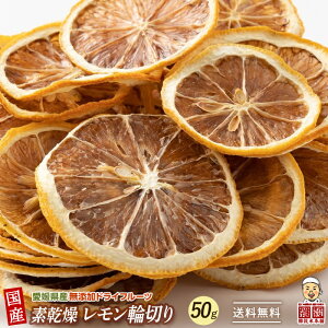 乾燥 レモンの人気商品 通販 価格比較 価格 Com 乾燥 レモンの人気商品 通販 価格比較 価格 Com