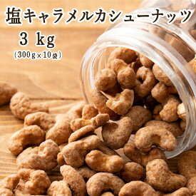 塩キャラメル・カシューナッツ 3kg(300g×10袋) カシューナッツ 小腹サポート おやつ 食べきりサイズ チャック付き 送料無料 プチギフト