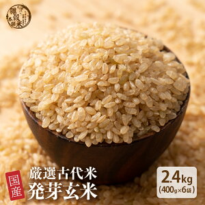 G G Y 茺 2.4kg(400g×6) t@~[TCY Y F  _CGbgHi u_CGbg