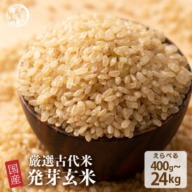 ＼お買い物マラソンSALE開催中／雑穀 雑穀米 国産 発芽玄米 【内容量が選べる400g~24kg】雑穀米本舗 お試しサイズ 無添加 無着色 送料無料 ダイエット食品 置き換えダイエット