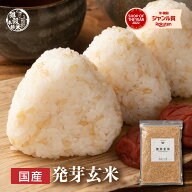 雑穀 雑穀米 国産 発芽玄米 【内容量が選べる400g~24kg】雑穀米本舗 お試しサイズ 無添加 無着色 送料無…