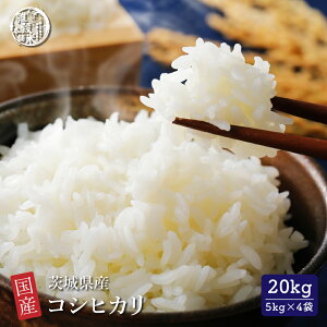 yāz 錧Y RVqJyeʂIׂ10kg~30kgzЂ ߘa6NY Pꌴ     čHꂩ̒i