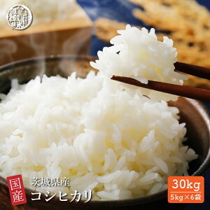 _yVX[p[SALE^yāz 錧Y RVqJyeʂIׂ10kg~30kgzЂ ߘa6NY Pꌴ     čHꂩ̒i