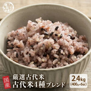 G G Y Ñ4uh 2.4kg(400g×6) [/ԕ/Ε/茺] Y F t@~[TCY  _CGbgHi u_CGbg