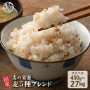＼お買い物マラソンSALE／雑穀 雑穀米 国産 麦5種ブレンド【内容量が選べる450g~27kg】 [丸麦/押麦/はだか麦/もち麦/はと麦] 無添加 無着色 定番サイズ 送料無料 ダイエット食品 置き換えダイエット