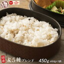 雑穀 雑穀米 国産 麦5種ブレンド 450g お試しサイズ [丸麦/押麦/はだか麦/もち麦/はと麦] 無添加 無着色 送料無料 ポスト投函 ダイエット食品 置き換えダイエット