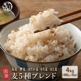 雑穀 雑穀米 国産 麦5種ブレンド 4kg(400g×10袋) [丸麦/押麦/はだか麦/もち麦/はと麦] 無添加 無着色 徳用サイズ 送料無料 ダイエット食品 置き換えダイエット