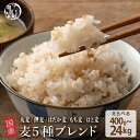 ＼マラソンSALE／雑穀 雑穀米 国産 麦5種ブレンド【内容量が選べる400g~24kg】 [丸麦/押麦/はだか麦/もち麦/はと麦] 無添加 無着色 定番サイズ 送料無料 ダイエット食品 置き換えダイエット