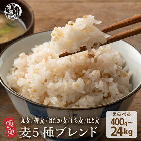雑穀 雑穀米 国産 麦5種ブレンド【内容量が選べる400g~24kg】 [丸麦/押麦/はだか麦/もち麦/はと麦] 無添加 無着色 定番サイズ 送料無料 ダイエット食品 置き換えダイエット