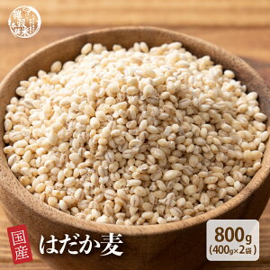 G G Y ͂ 800g(400g×2) [1kg] ԃTCY Y F 