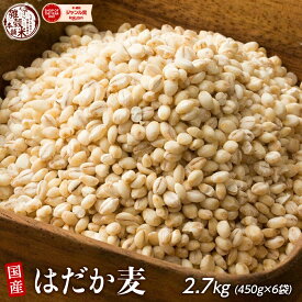 雑穀 雑穀米 国産 はだか麦 2.7kg(450g×6袋) 人気サイズ 無添加 無着色 送料無料