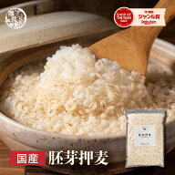 ＼楽天スーパーSALE／雑穀 雑穀米 国産 胚芽押麦 【内容量が選べる400g~24kg】雑穀米本舗 定番サイズ 無…