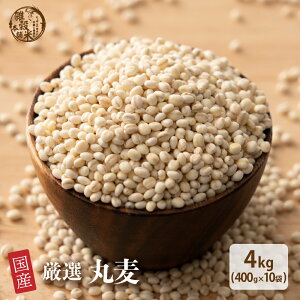 G G Y ۔ 4kg(400g×10) pTCY Y F  _CGbgHi u_CGbg