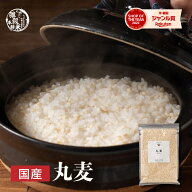 ＼楽天スーパーSALE／雑穀 雑穀米 国産 丸麦【内容量が選べる400g~24kg】雑穀米本舗 定番サイズ 無添加 …