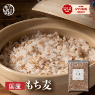 ＼楽天スーパーSALE／雑穀 雑穀米 国産 もち麦 【内容量が選べる400g~24kg】雑穀米本舗 お試しサイズ 無…