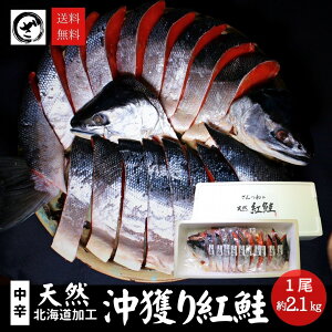 lg  2.1kg TP  T[ VR gTP g Mtg v[g  j kCH VAY