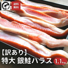 訳あり 銀鮭 ハラス 特々大サイズ 甘塩 1.1kg 送料無料 あす楽 さけ サケ はらす