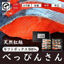 天然紅鮭「べっぴんさん」8切れセット【贈答用】【送料無料】鮭 サケ さけ サーモン 天然 紅サケ 紅さけ お取り寄せ …