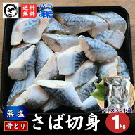 2個で300円OFF！ 訳あり 骨とりさば切身 約1kg (1切約40g) 無塩 骨取り 鯖 サバ 無添加 お弁当 大容量 ス…