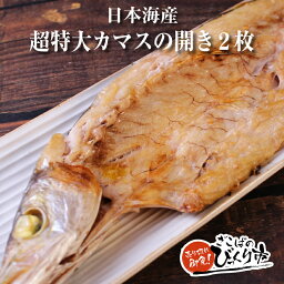 楽天市場 超特大カマスの開き 2枚 ざこばの朝市オンラインショップ
