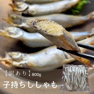 ししゃも 魚の人気商品 通販 価格比較 価格 Com ししゃも 魚の人気商品 通販 価格比較 価格 Com