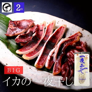 big ̈銱CJ  Ђ  G