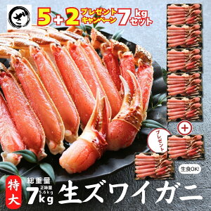 yʃLy[zɏyzYCKj@5.6kg yd 7kgz TCY H Jbgς 킢 YCI  RpNg Jj Mtg Ε  傫 Jj 