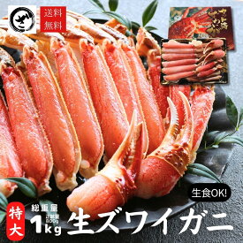 極上【特大】生ズワイガニ 特大サイズ（5L超）　生食可　かに カット済み　ずわいがに　ズワイ蟹　希少　コンパクト　カニ鍋　ギフト　お歳暮　大きいかに カニ 蟹 ずわい ズワイ