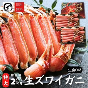  5OFF ɏyzYCKj TCYi5Lj H Jbgς 킢 YCI  RpNg Jj Mtg Ε  傫 Jj I 킢 YC Kj