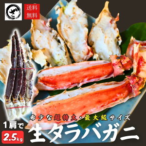  ΂ 12.5kg  Ⓚ ^oKj  I Jj ĂKj o^[Ă 傫 ɓ