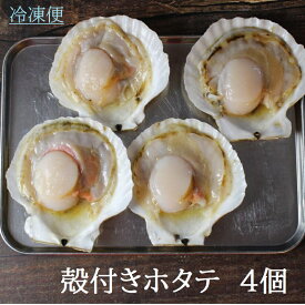北海道産　殻付きホタテ　4個　冷凍　海鮮　魚介　BBQ　キャンプ飯