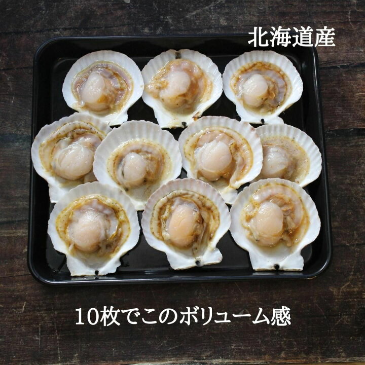 開店祝い ホタテ ほたて 殻付き 片貝 10枚 北海道産 海鮮 バーベキュー BBQ