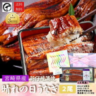 晴れの日 特大うなぎ蒲焼 2尾 送料無料 国産 宮崎県産 九州産 風呂敷 専用熨斗 専用メッセージカード お…