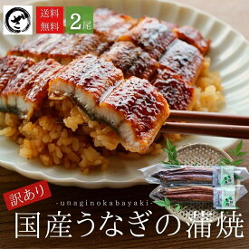 【訳あり】国産うなぎ蒲焼 2尾 （約125g×2）【送料無料】 うなぎ 鰻 ウナギ 蒲焼 うな丼