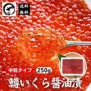 ݖЂ@250g@CN@t@NxQ@kCH@܂@}XR@܂@@