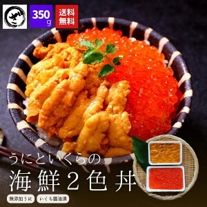  5%OFF hV̓?Mtg 2FCN yz炽ՂIYEj v350g v[g@CN@Ɂ@CNMtg@p