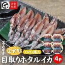 生食用 富山県産目取りホタルイカ12尾入×4パック 送料無料 ほたるいか 海鮮 冷凍
