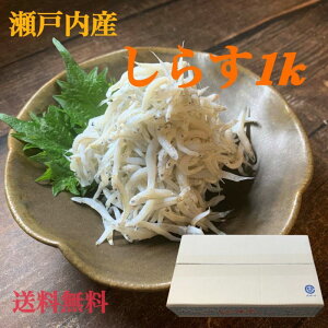 ˓Y@VX 1kg@炷@g