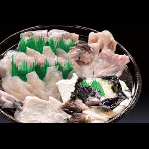 YƂӂ 800gi3`4lOjyzƂӂ ӂh ӂ ӂ ӂ tO ͓ Ă Ă