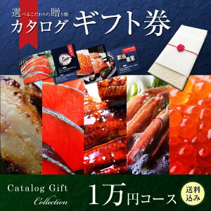 ΂̒s ڗI CNJ^OMtg 1~R[X