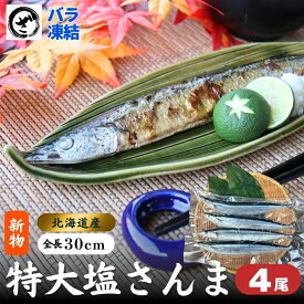 2025年 新物 北海道産 特大塩さんま 4尾 サンマ 秋刀魚 国産 冷凍 塩サンマ BBQ 焼魚
