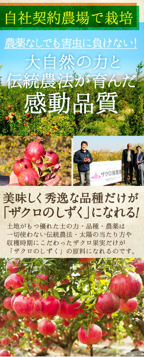 楽天市場】妊活 ザクロジュース 100% ざくろ ザクロのしずく 500ml(約650g) 濃縮 ざくろジュース 無添加 農薬不使用 自然派 飲む美容ドリンク エイジングケア 毎月の悩みに エラグ酸 ポリフェノール 鉄分 葉酸 ビタミンC ザクロ屋 : ザクロ屋楽天市場店 楽天市場】妊活 ザクロジュース 100% ざくろ ザクロのしずく 500ml(約650g) 濃縮 ざくろジュース 無添加 農薬不使用 自然派 飲む美容ドリンク エイジングケア 毎月の悩みに エラグ酸 ポリフェノール 鉄分 葉酸 ビタミンC ザクロ屋 : ザクロ屋楽天市場店