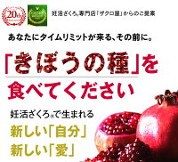 ざくろジュースザクロのしずくスティックタイプ20ml×15本入【12000円以上送料無料】オリジナル濃縮ざくろ100%/石榴の滴/無添加無農薬